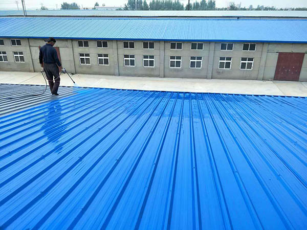 赵西垸林场 彩钢瓦喷漆翻新工业厂房、仓库