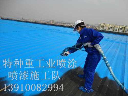 赵西垸林场包括彩钢瓦喷漆翻新（